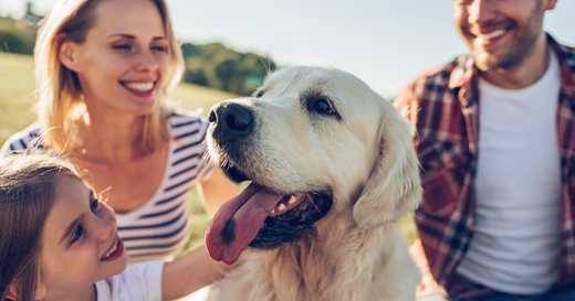 Can you Change a Dog's Name after Adoption?