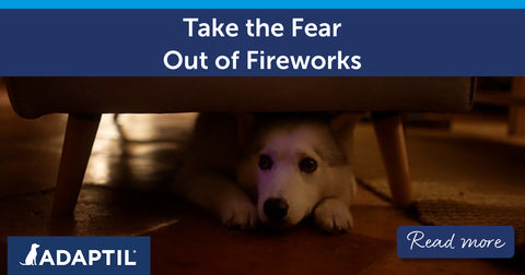 Take the Fear Out of Fireworks