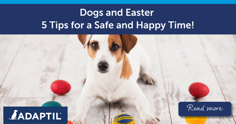 Dogs and Easter - 5 Tips for a Safe and Happy Time!