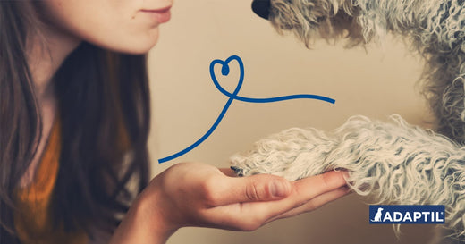 Your dog: your best ally during containment