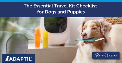 Australian Shepherd dog sitting with a passport in her mouth.