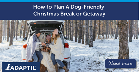 Family on a road trip with dog in car boot.