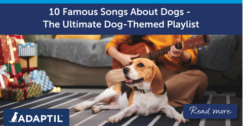 Woman sitting with her dog playing music on guitar.
