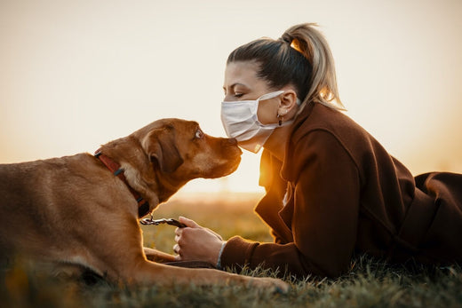 A Dog's Point of View: Separation Anxiety After Lockdown