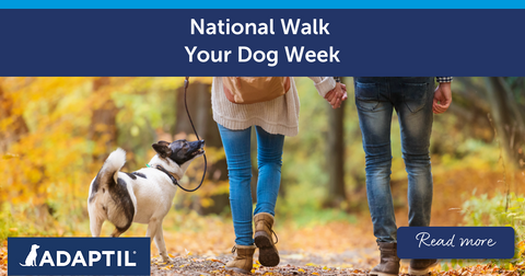 National Walk Your Dog Week