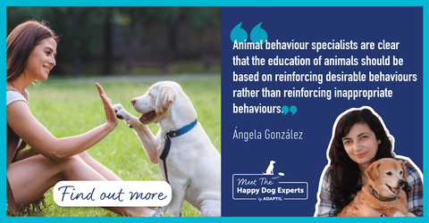 Happy Dog Expert: Why Use Positive Reinforcement Training For Dogs