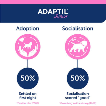 Situations for success with Junior calming dog collar