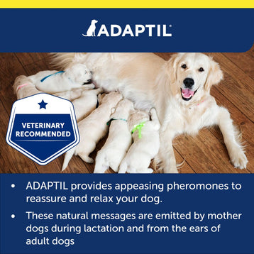 20ml Spray, 60ml Spray