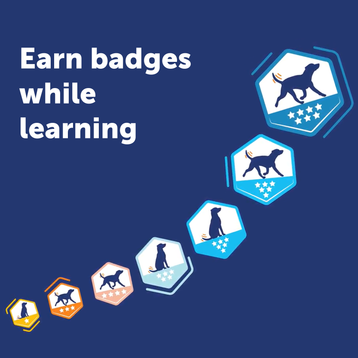 Dog Body Language Course - Decoder Level