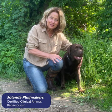 Dog Body Language Course - Decoder Level