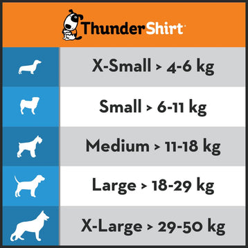 xs,s,m,l,xl