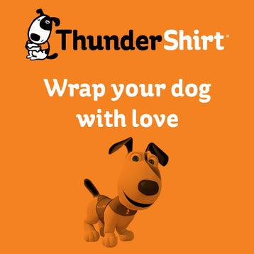 xs,s,m,l,xl
