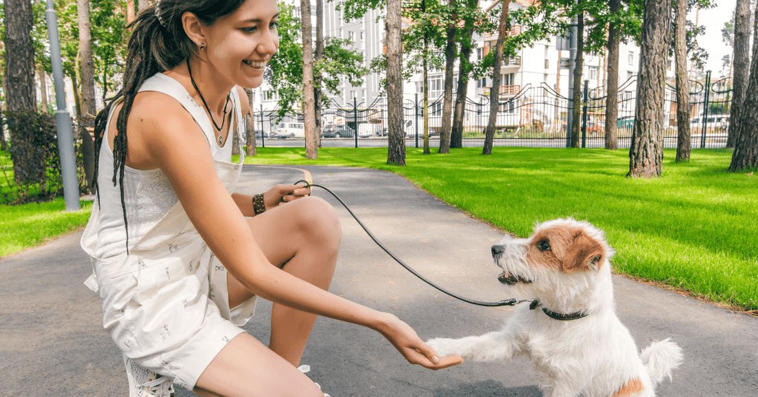 How Can You Make a Dog Happy? 14 Tips!