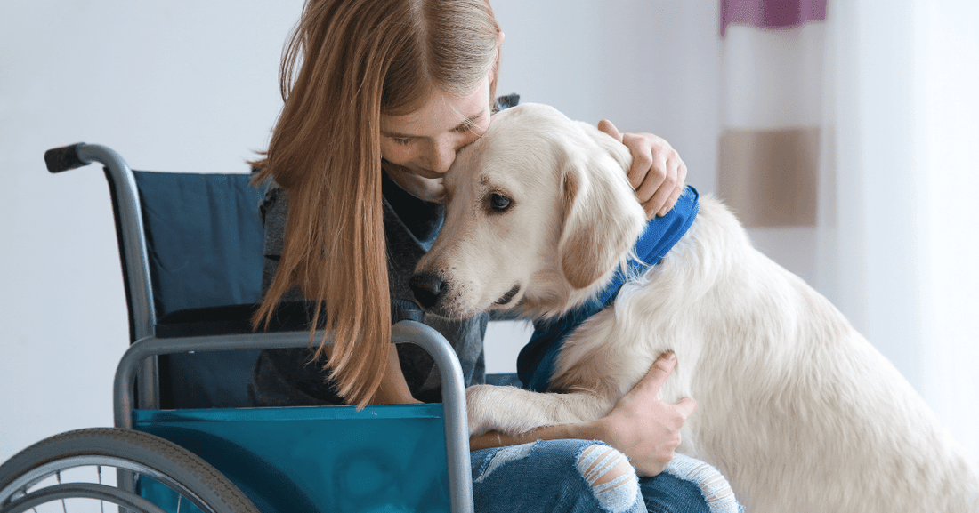 How Dogs Help Us! 10 Dog and Human Relationship Stories