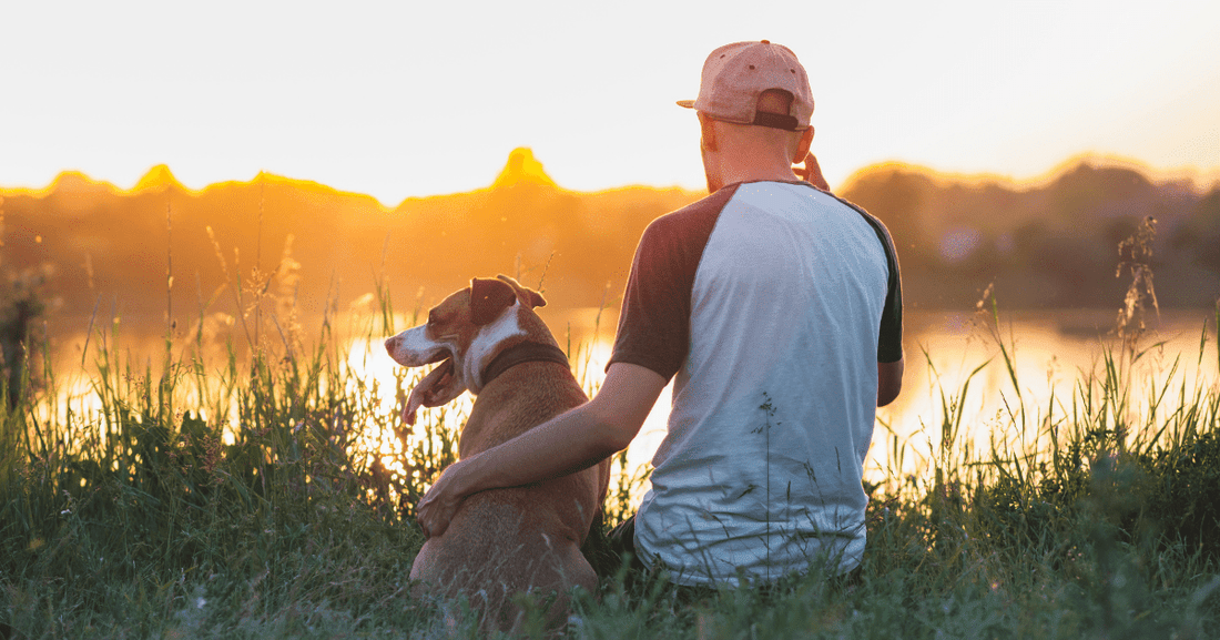 10 Ways to Improve Your Dog-Human Bond Through Busy Modern Life!