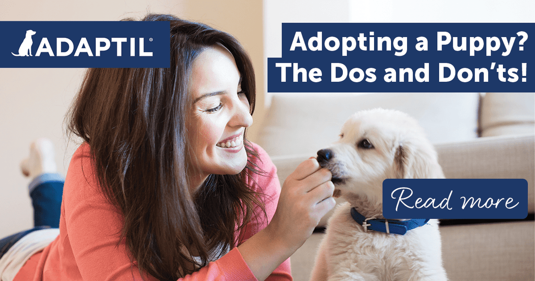 Adopting a Puppy? The Dos and Don'ts!