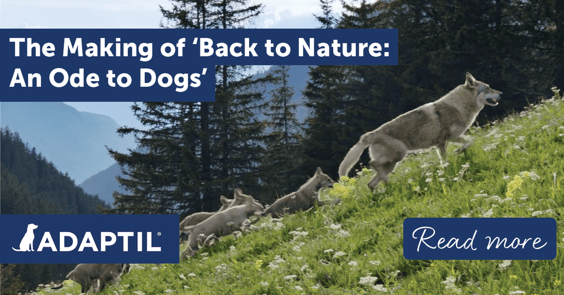 The Making of ‚ÄòBack to Nature: An Ode to Dogs'
