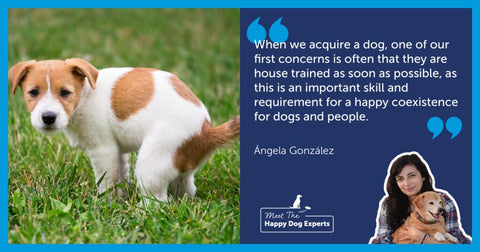 How do we teach dogs to toilet outside the home? Happy Dog Expert