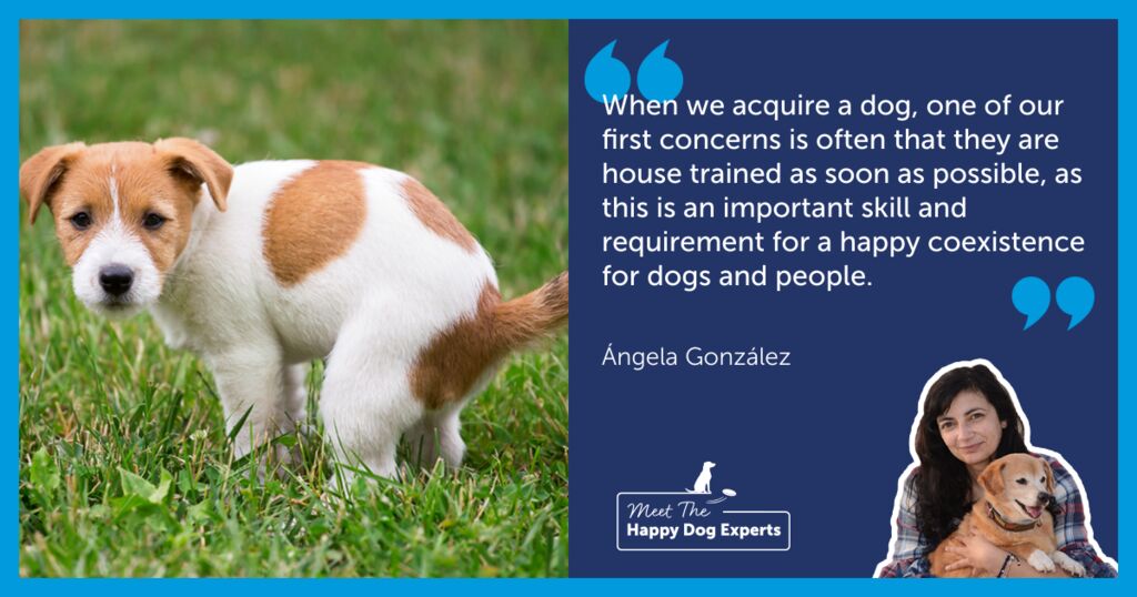 How do we teach dogs to toilet outside the home? Happy Dog Expert