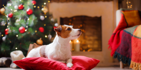 How to Have a Calmer Christmas