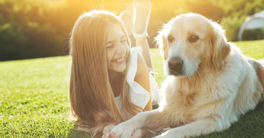 Dog and Human Relationships: Ways to Live Better Together