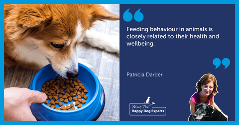 Happy Dog Expert Tips: Feeding Behaviour in Dogs