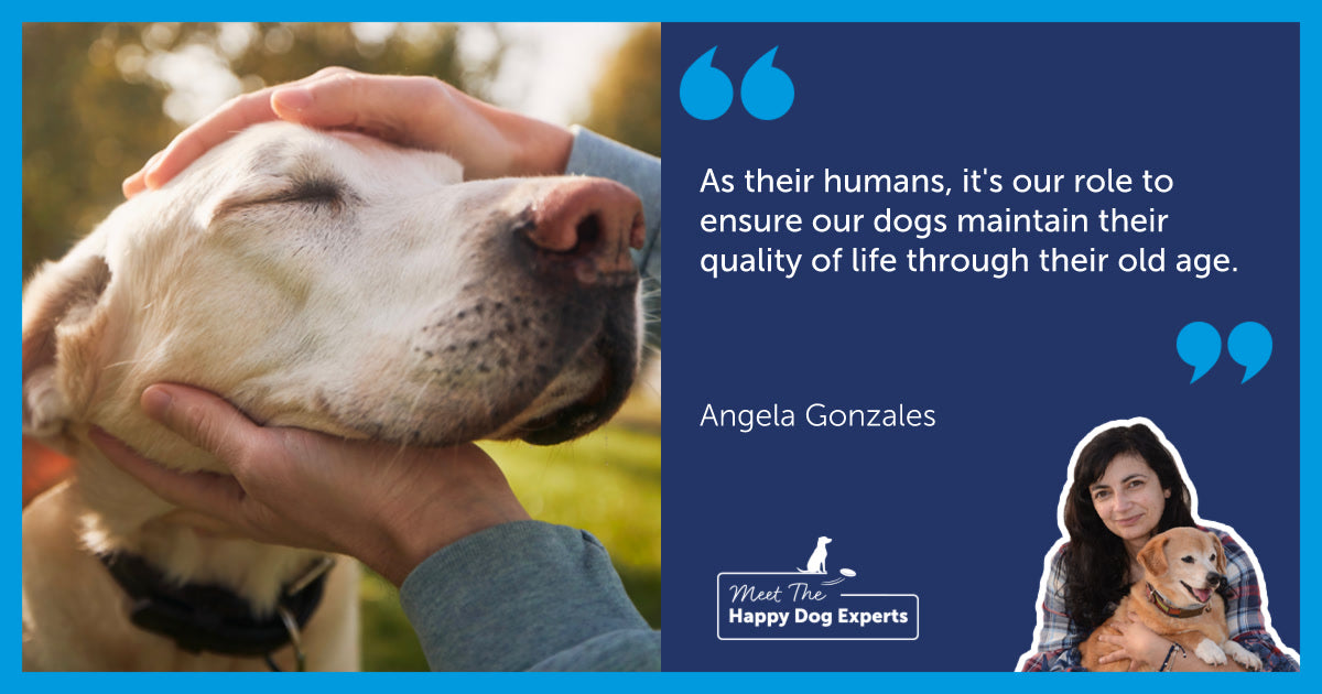 Old Labrador resting his head in a human’s hands.