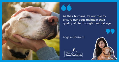Old Labrador resting his head in a human’s hands.