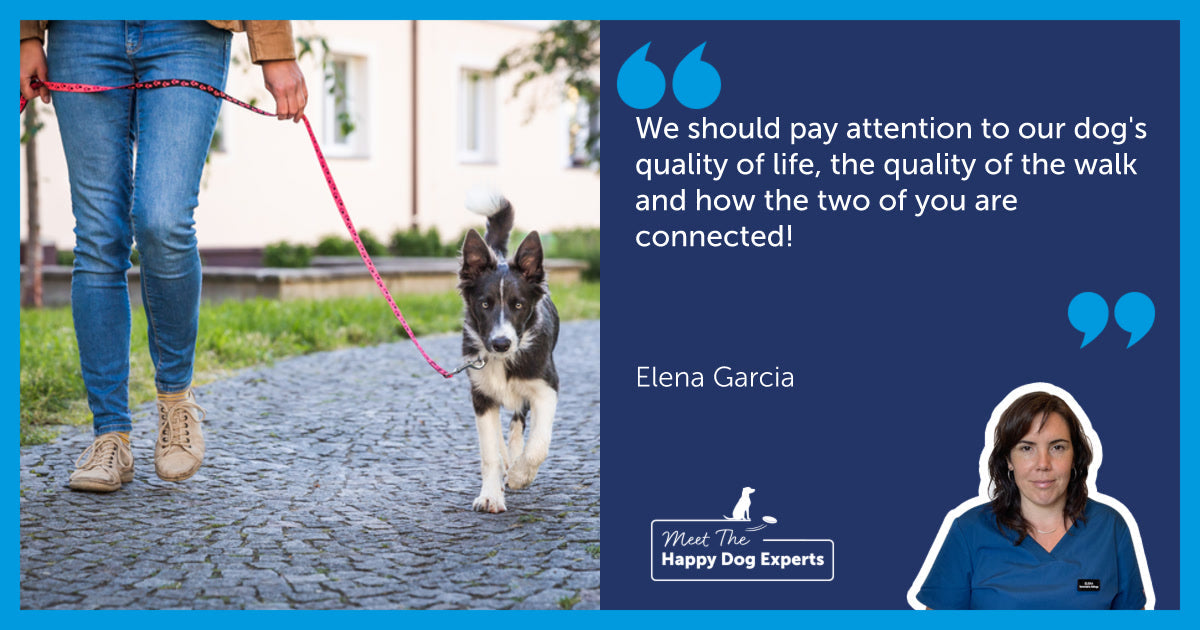 How to Walk Your Dog Effectively