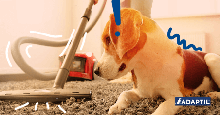 Help! My Dog is Scared of the Vacuum Cleaner, What Can I Do?