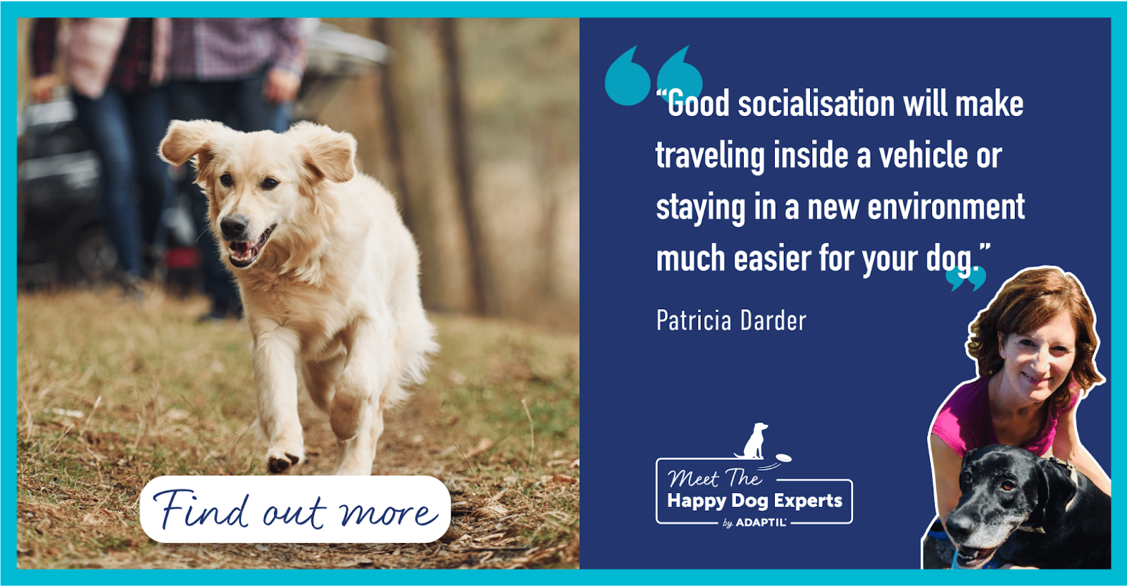 Happy Dog Expert: How to Reduce Your Dog's Stress When Travelling in a Car