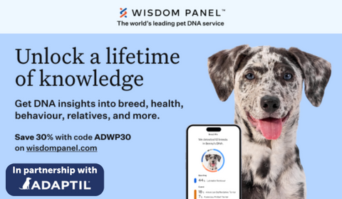 Wisdom Panel 30 percent off offer 