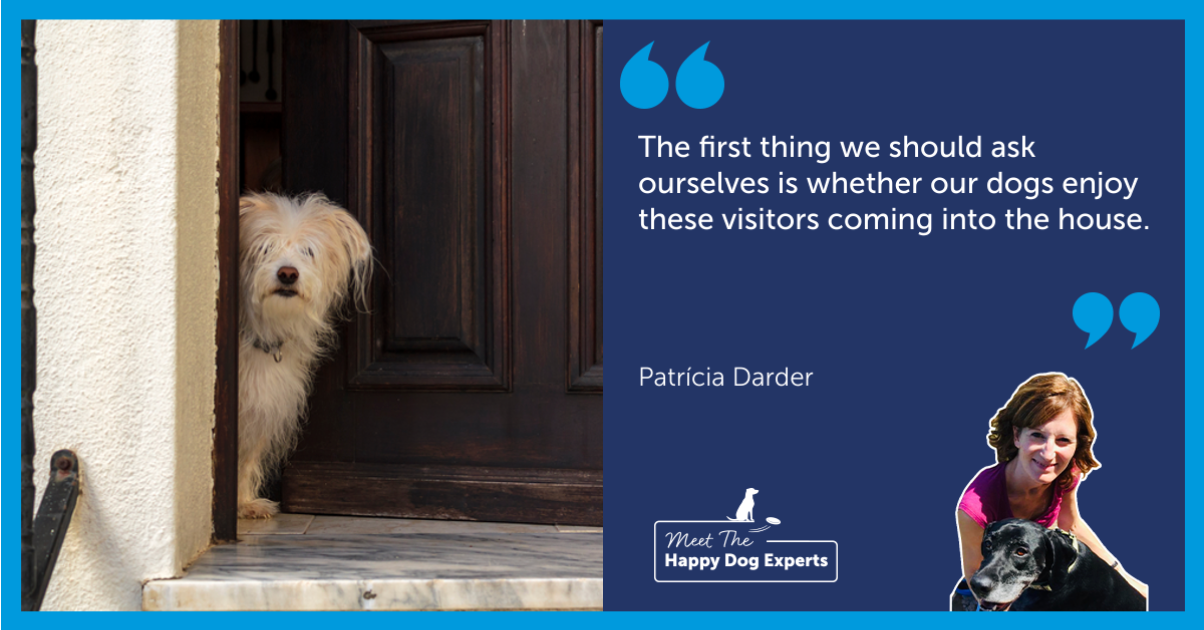 Small white dog peeking out the front door.