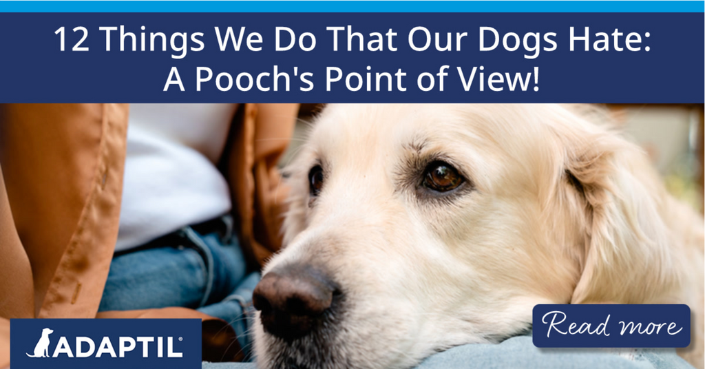 search image 2 9 Everyday Sounds Dogs Hate (and How to Calm Them) 2