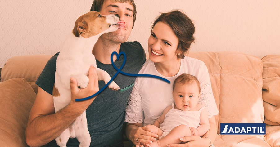 9 Tips to Introduce Your Dog to a Baby