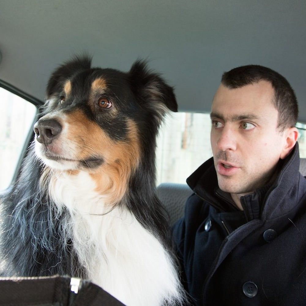 Travel Anxiety For Dogs How To Keep A Dog Calm In The Car