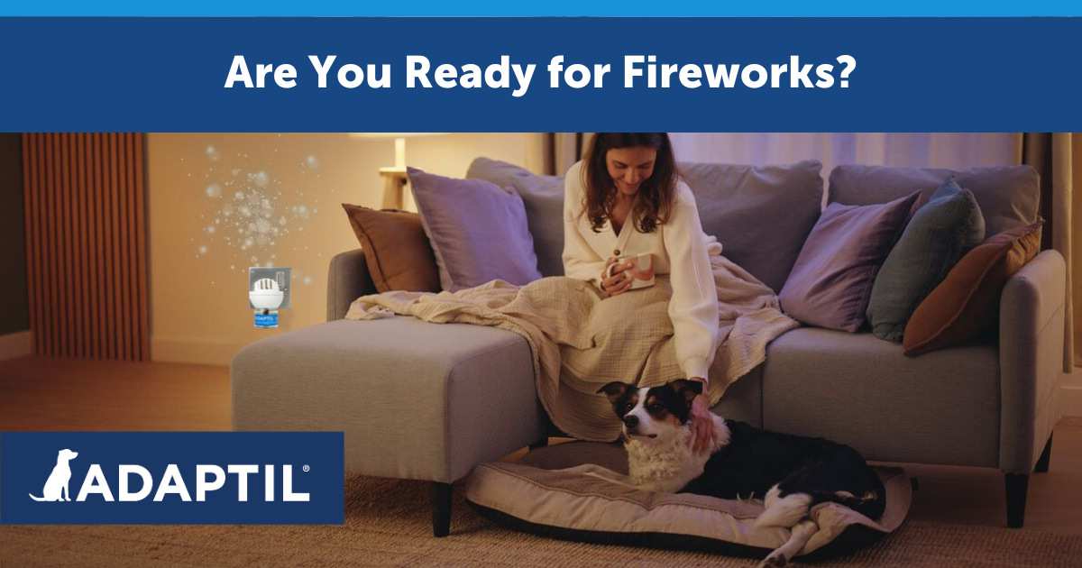 Being prepared - Are you ready for fireworks?