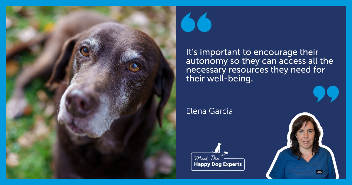 How to Keep Your Dog Healthy as They Age: A Happy Dog Expert Explains!