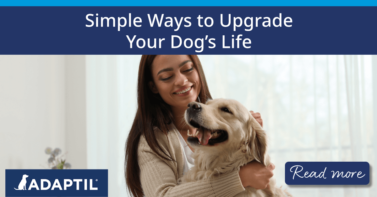  Woman smiling with happy looking dog on her lap. 