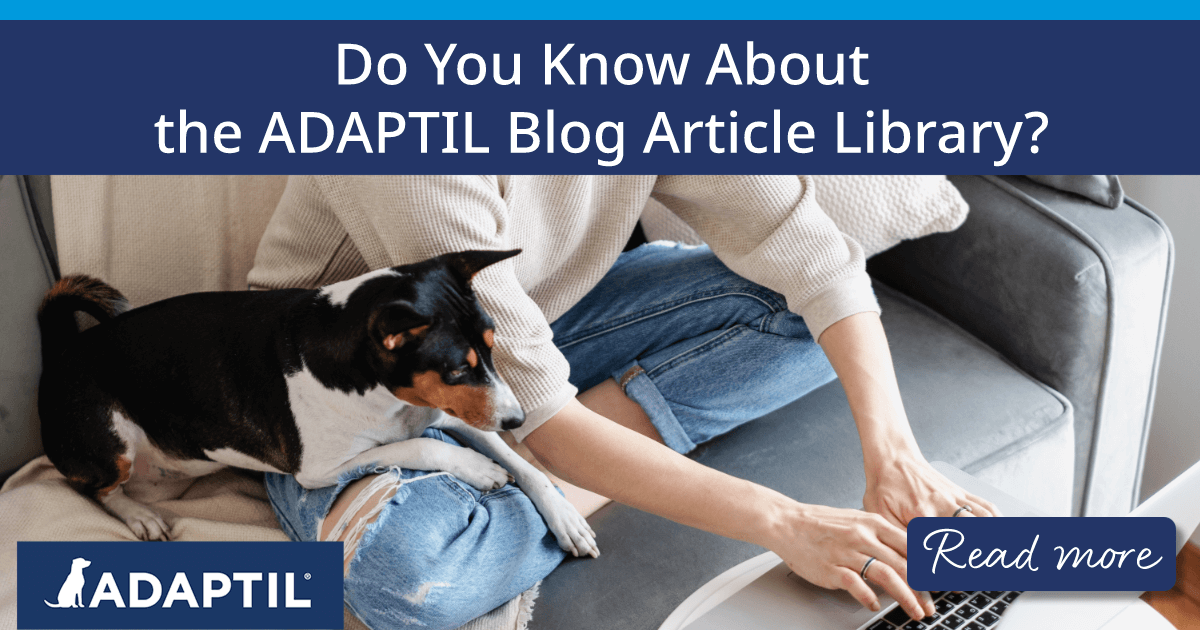 Small black and white dog resting on a young woman’s lap while looking at a laptop.