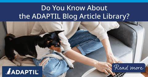 Small black and white dog resting on a young woman’s lap while looking at a laptop.