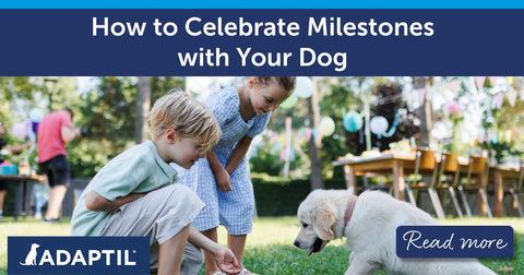 Children and their puppy enjoying a celebration in the garden.&nbsp;