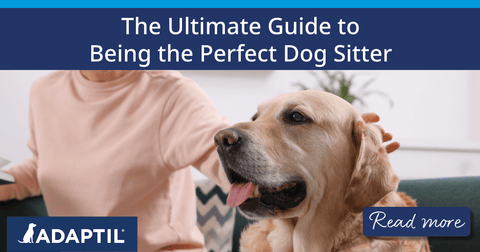 A woman sitting on the sofa, petting a dog who is sat next to her with their tongue hanging out. 