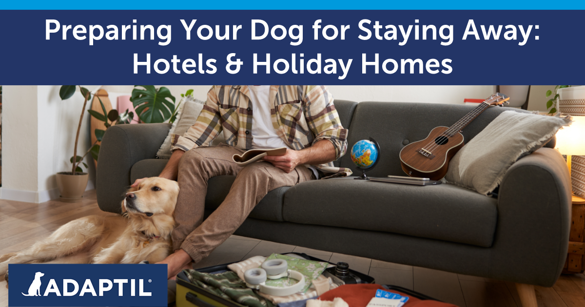 Man sitting on a sofa, petting a dog beside an open suitcase full of clothes.
