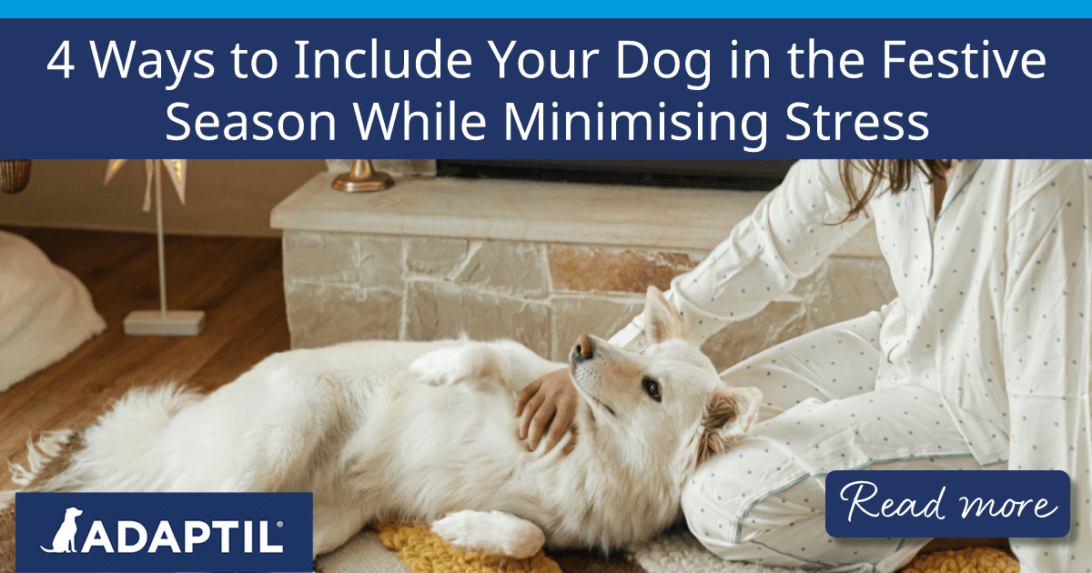 Human petting a dog on its back next to a fireplace.