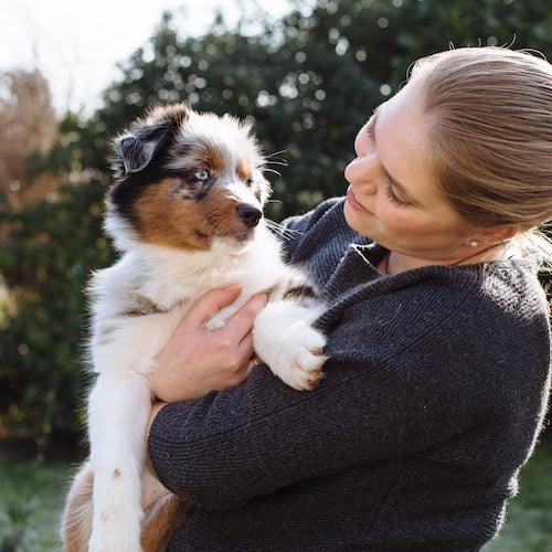 Jess the pup settles in easily with ADAPTIL Junior