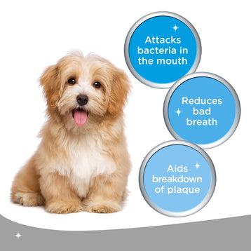 Benefits of Using LOGIC Chews. 