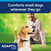 Dog wearing calming collar. 