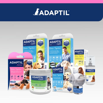 Range of dog calming products