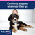 Puppy wear Adaptil Junior Collar. 